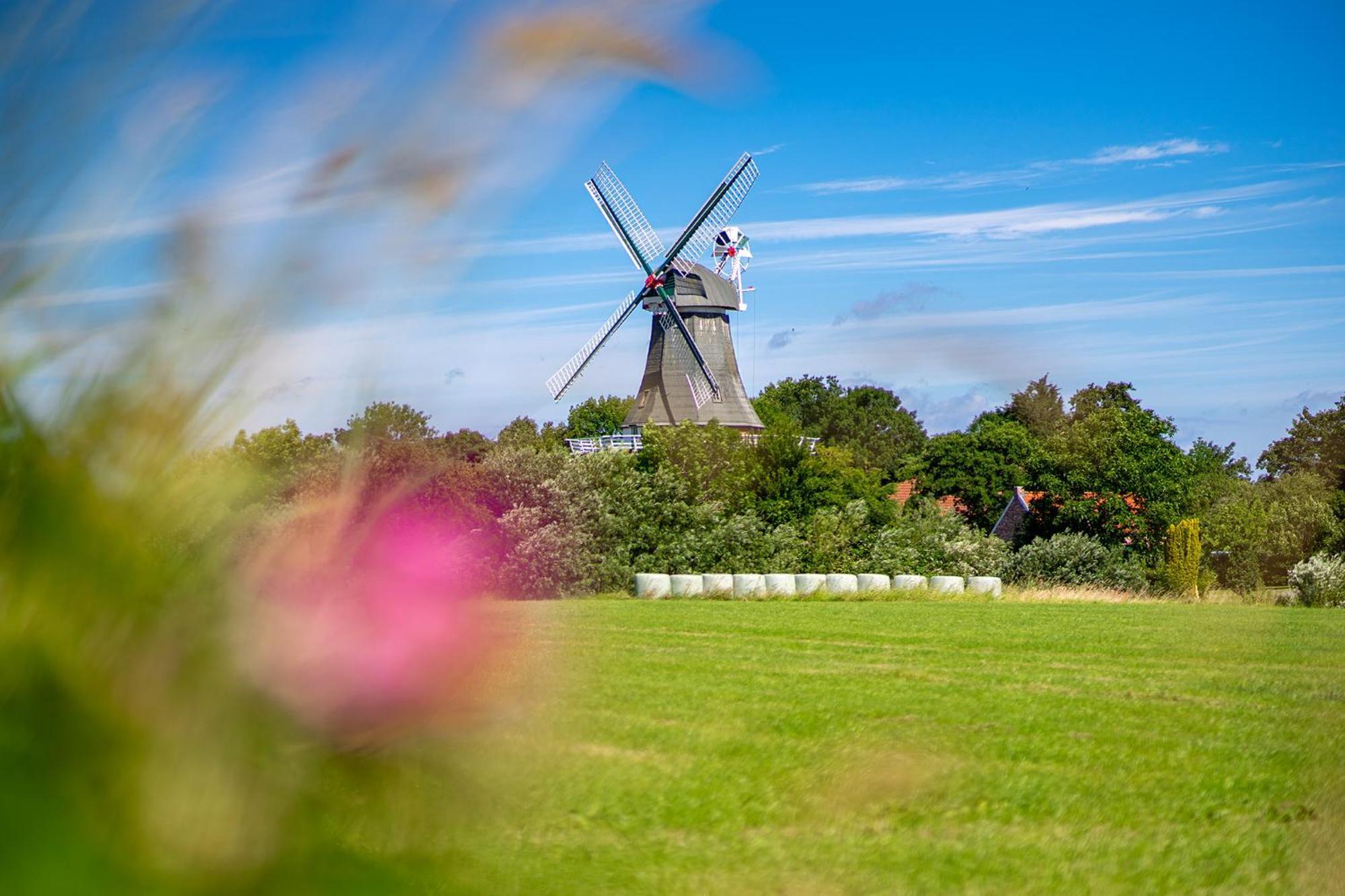 Deichblick Villa Greetsiel Dış mekan fotoğraf